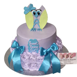 2 tier baby shower cake for girl