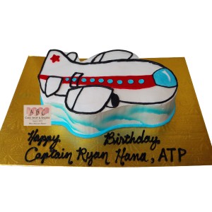 2256 high flying airplane cut out abc cake shop bakery airplane sheet cake